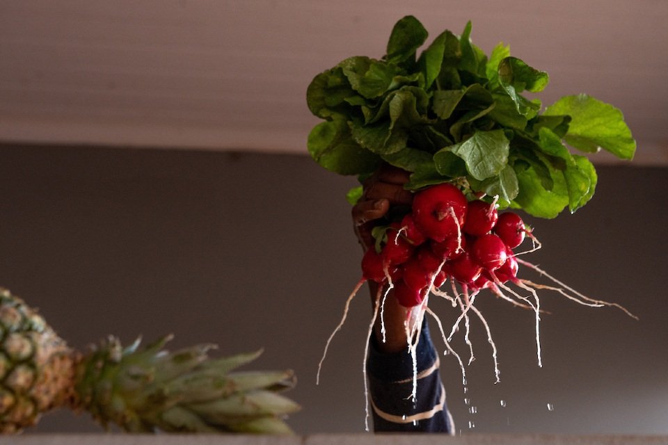 Empreendendo no Novo Normal. Produção de orgânicos na chácara Vovó Neli, Lago Oeste, com venda de hortifruti para o consumidor final