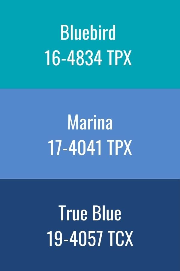 Azul: Pantone x Heuritech - Fall 2020 Color Report 