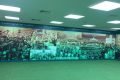 Palmeiras