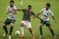 Jogo entre Fluminense e Palmeiras