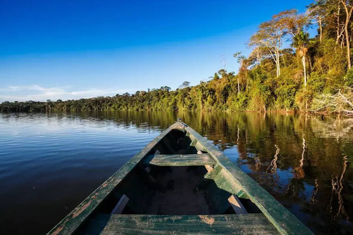 Passeio de barco na floresta Amazônia