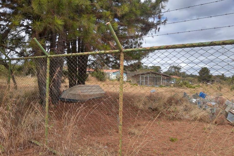Cetas-DF