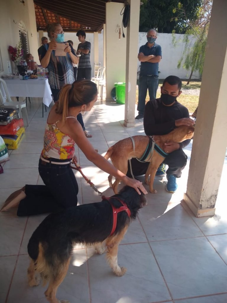 Michelle Bolsonaro adota dois vira-latas, Nestor e Bartô