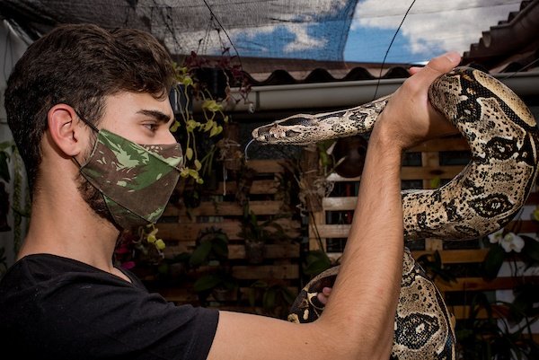 Polícia apreende duas cobras exóticas criadas ilegalmente por universitária  no DF; veja vídeo, Distrito Federal