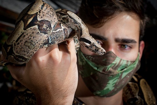 Polícia apreende duas cobras exóticas criadas ilegalmente por universitária  no DF; veja vídeo, Distrito Federal