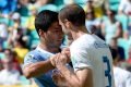 Suárez e Chiellini