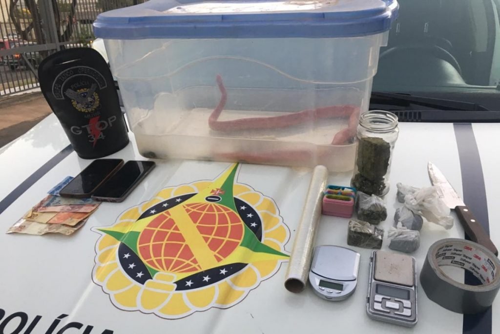 cobra e drogas