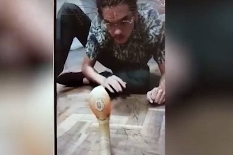 Pedro Krambeck provoca Naja solta em casa no DF