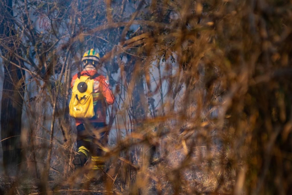 Fogo Incêndio