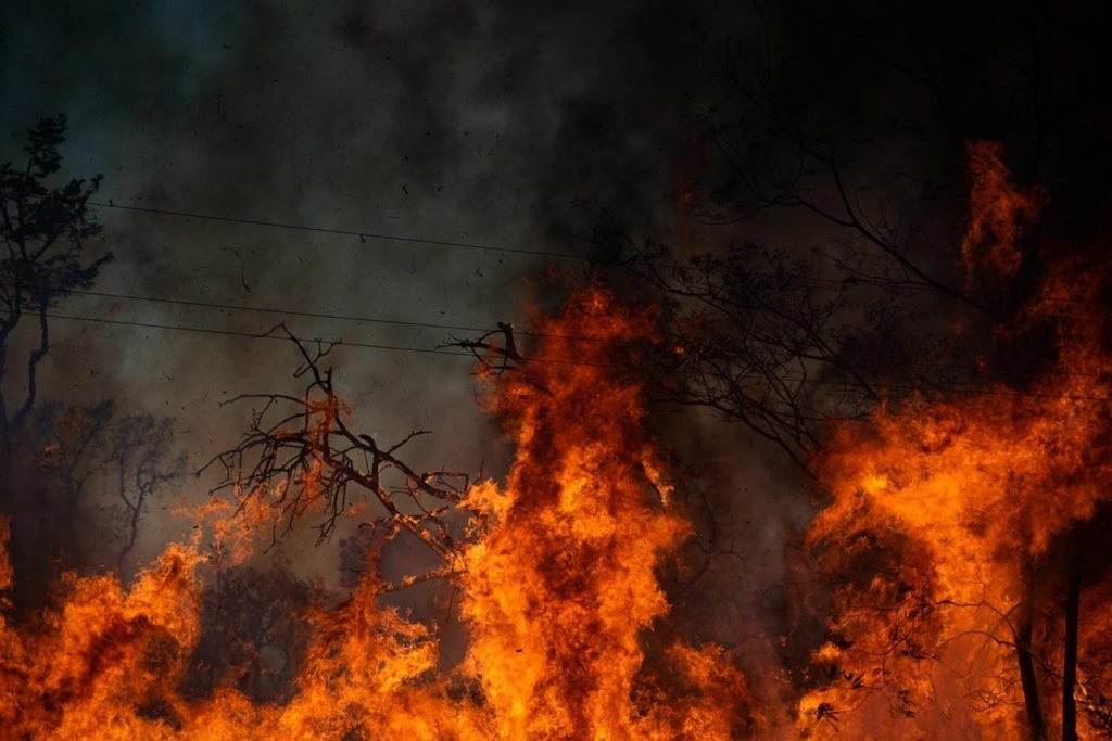 Fogo Incêndio