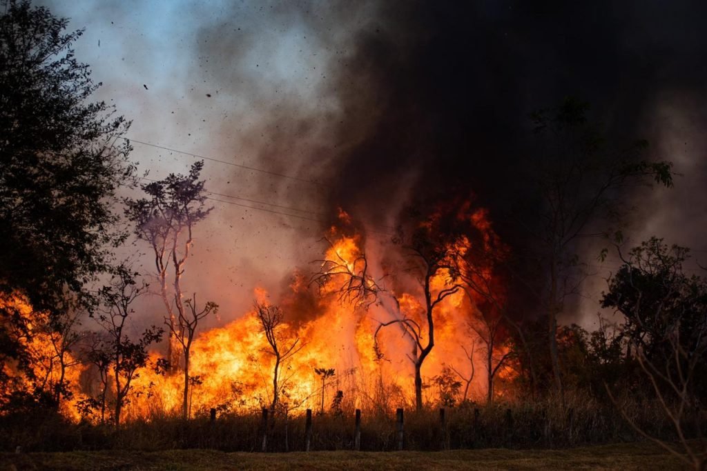 Incêndio na UnB