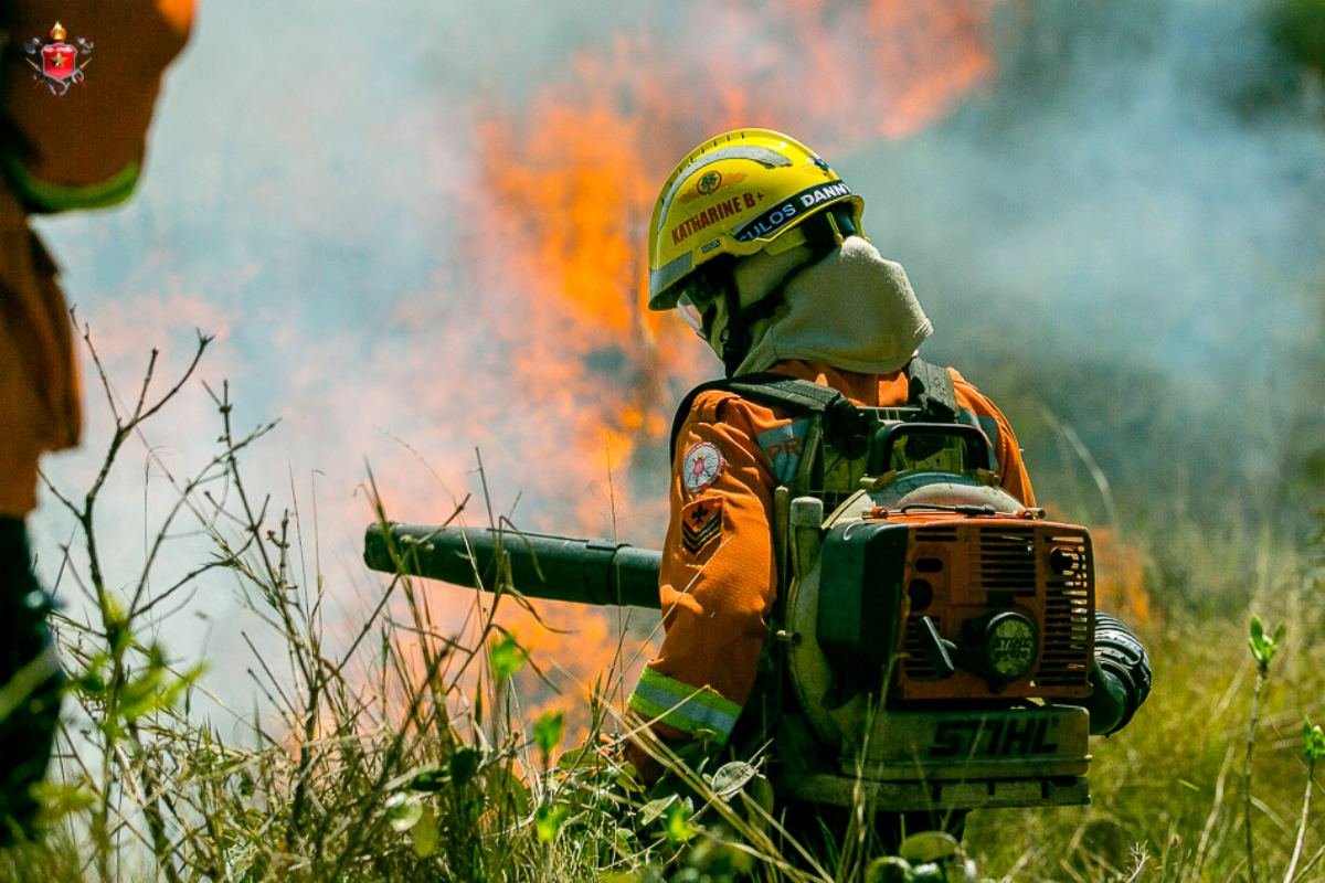 Depósito pega fogo e bombeiros utilizam 3 mil litros de água no combate -  Oeste Mais