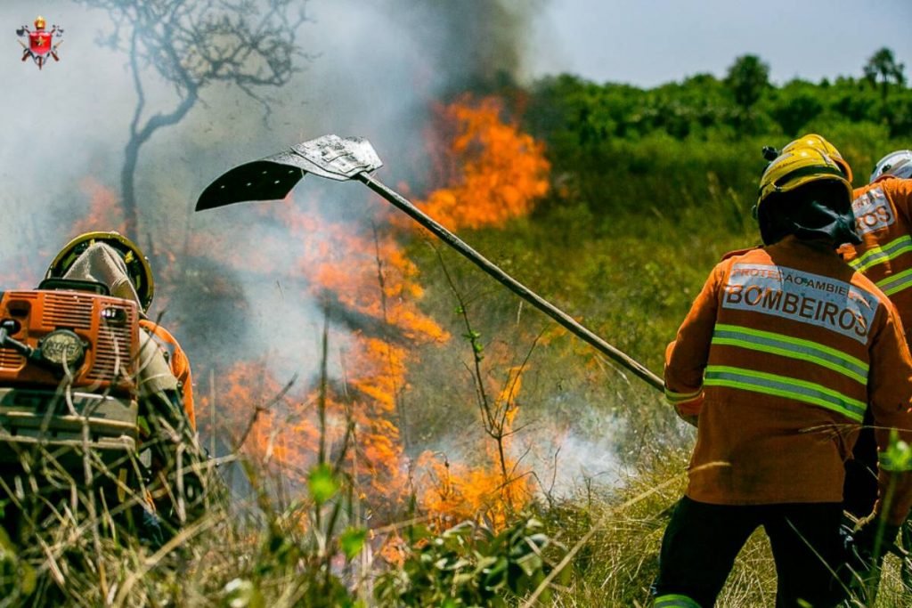 Bombeiros utilizam 6 mil litros de água para controlar incêndio no