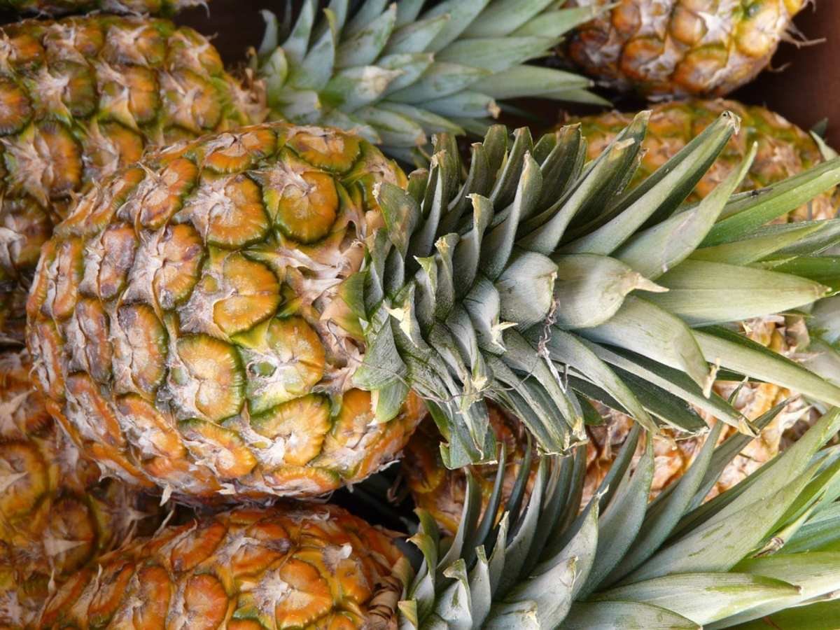 conheça os benefícios de frutas e legumes da estação