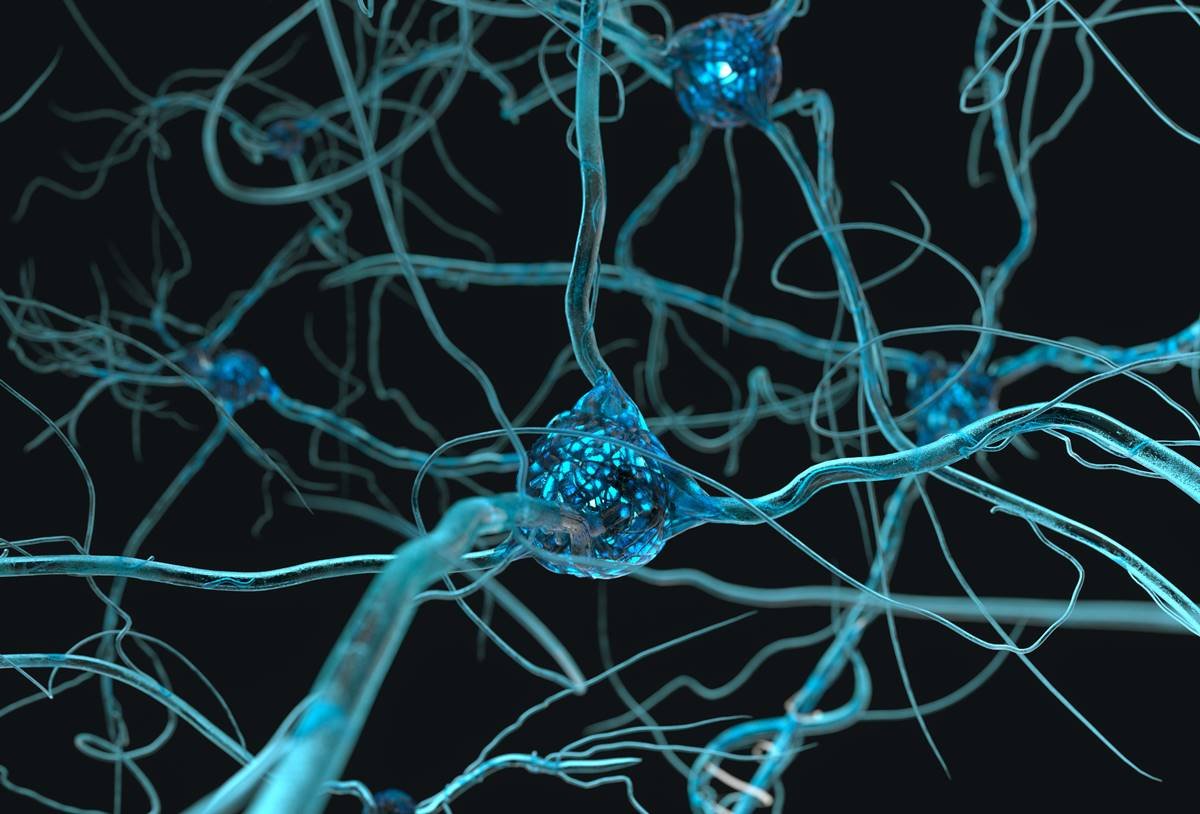 Ilustração colorida de neurônios e nervos - Metrópoles