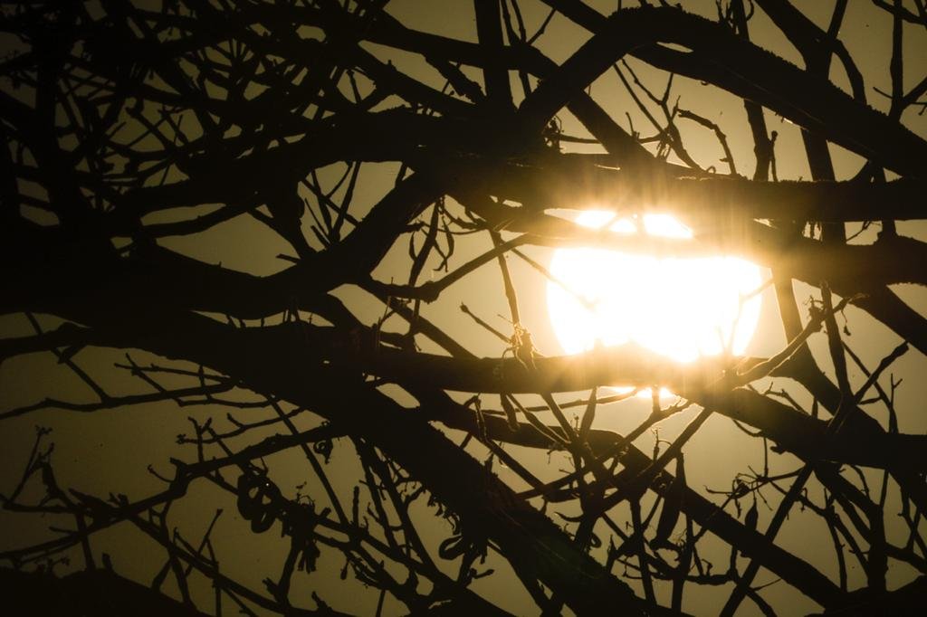 DF tem dia mais seco e quente do ano. Defesa Civil e Inmet emitem alerta à população calor seca