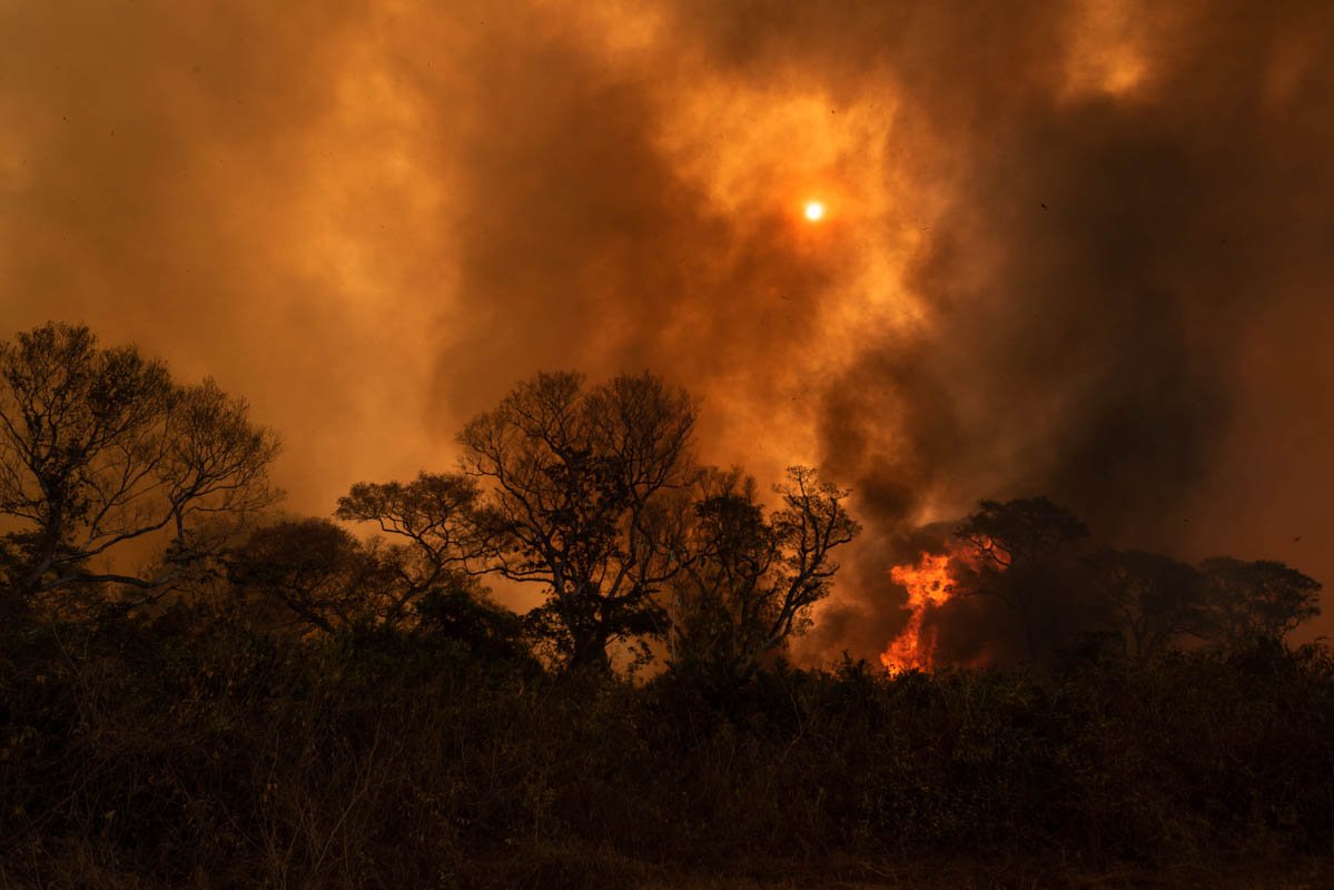 Pf Investiga Possíveis Responsáveis Por Incêndios No Pantanal Em Ms