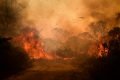 Pantanal On Fire In Brazil - PF investiga possíveis responsáveis por incêndios no Pantanal em MS