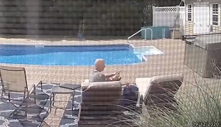 Urso invade casa nos EUA