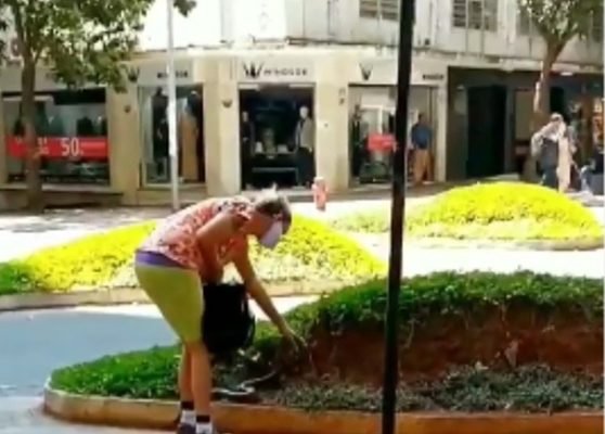 Mulher Leva Cobra Para Passear No Centro De Bh E Viraliza