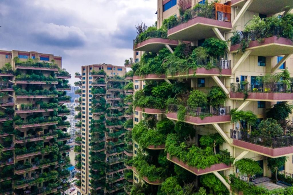 Plants overrun apartment blocks in Chengdu City