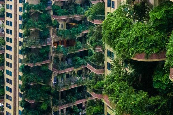 Plants overrun apartment blocks in Chengdu City