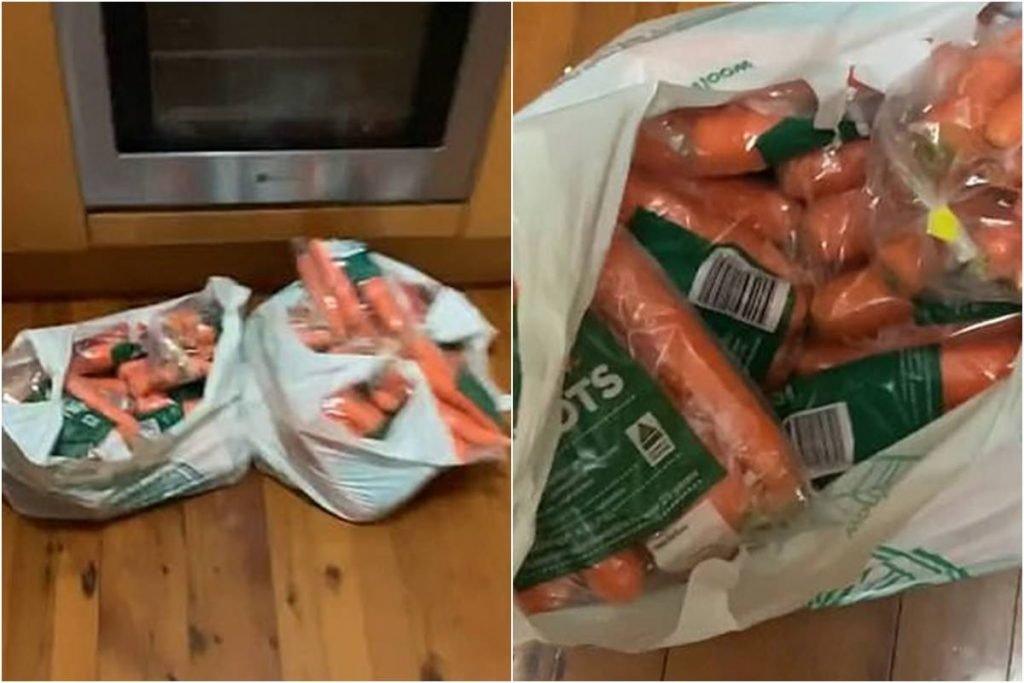 17 quilos de cenoura