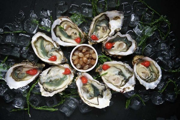 ostras