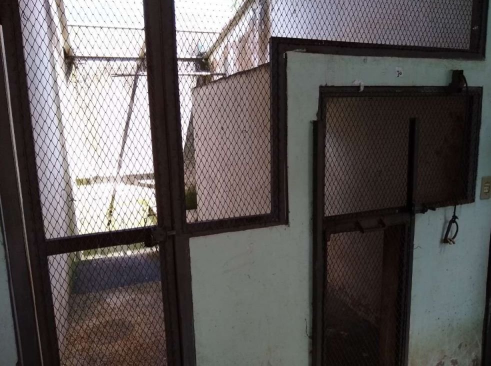 Cetas-DF