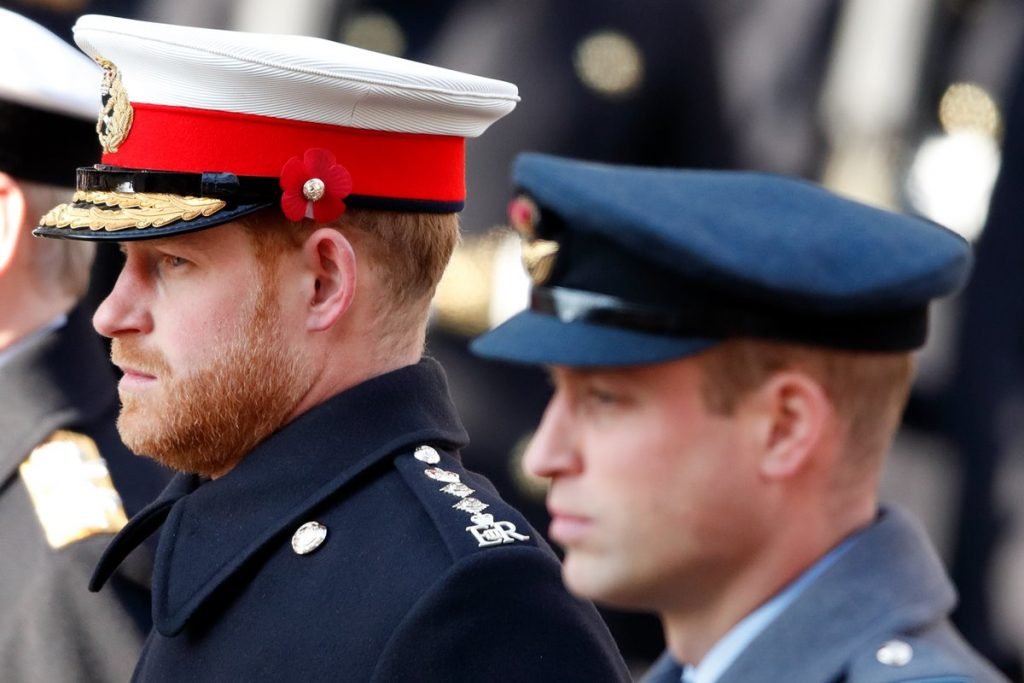 Príncipe Harry e William