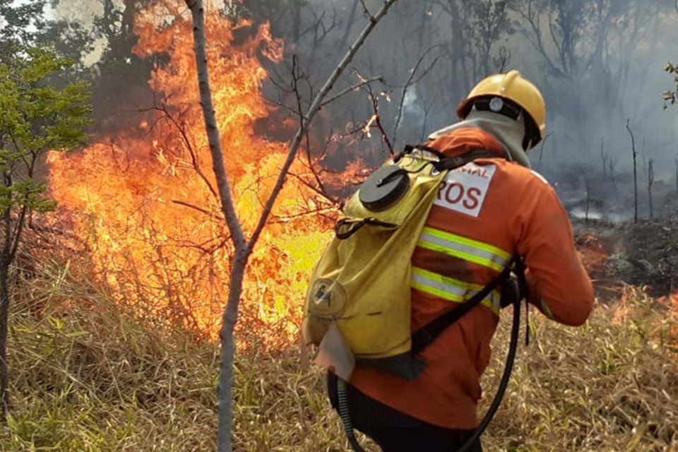 Bombeiro combatendo incêndio florestal