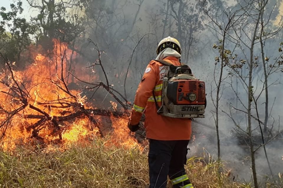 Bombeiro combatendo incêndio florestal