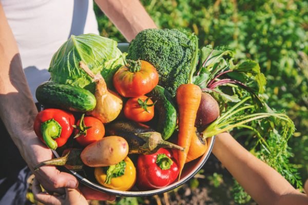Foto colorida de legumes e verduras-Metrópoles