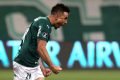 Palmeiras goleia na Libertadores