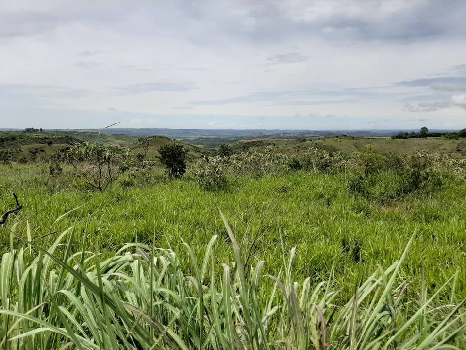 Local onde será erguida a nova unidade da Fazenda Esperança no DF