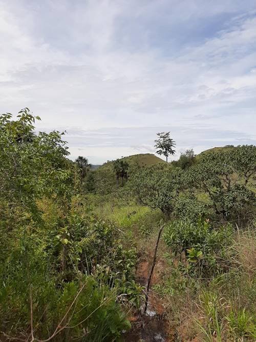 Local onde será erguida a nova unidade da Fazenda Esperança no DF