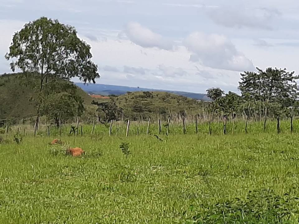 Local onde será erguida a nova unidade da Fazenda Esperança no DF