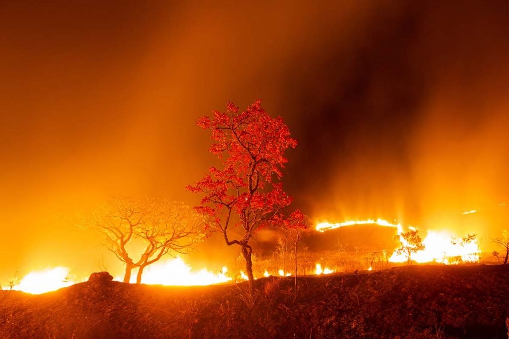 Incêndio na Chapada dos Veadeiros