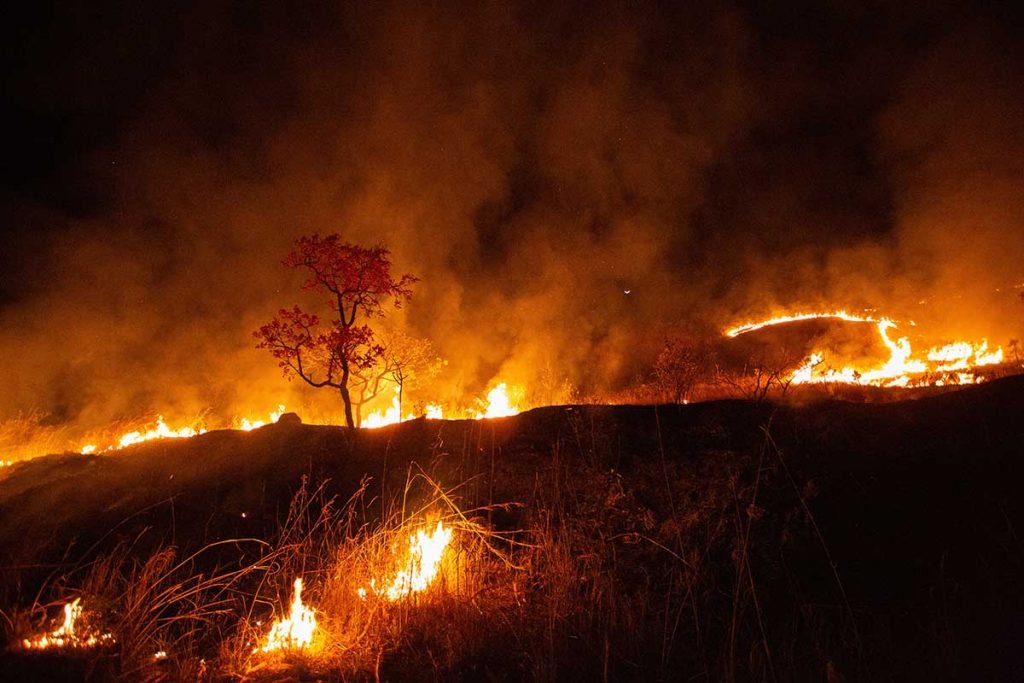 Incêndio na Chapada dos Veadeiros