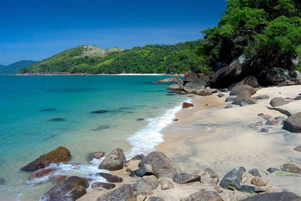 ubatuba sp