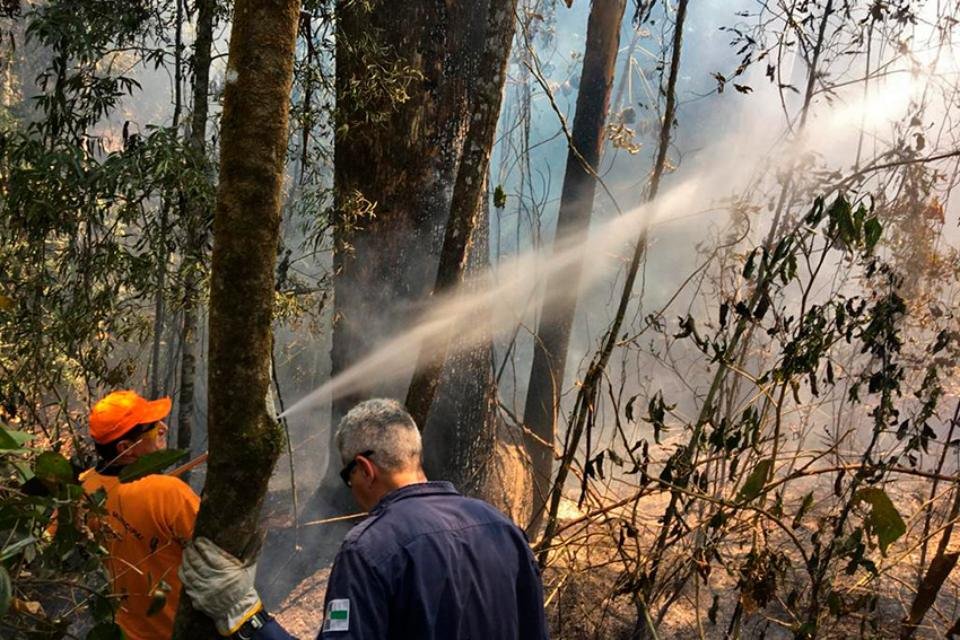 Queimadas em Vinhedo (SP)