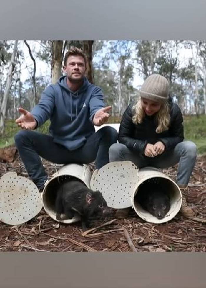 Chris Hemsworth soltando demônios da Tasmânia