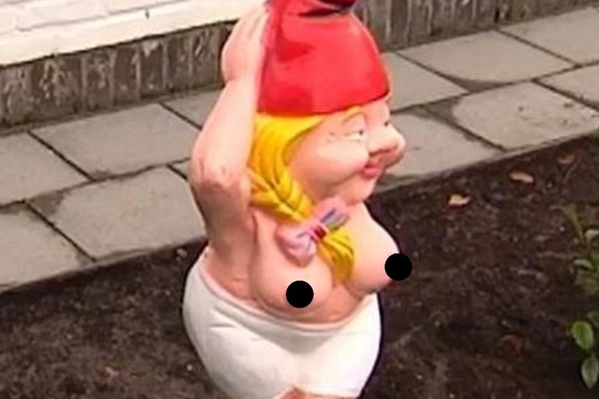 Gnoma pelada