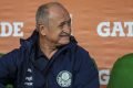 Felipão Palmeiras