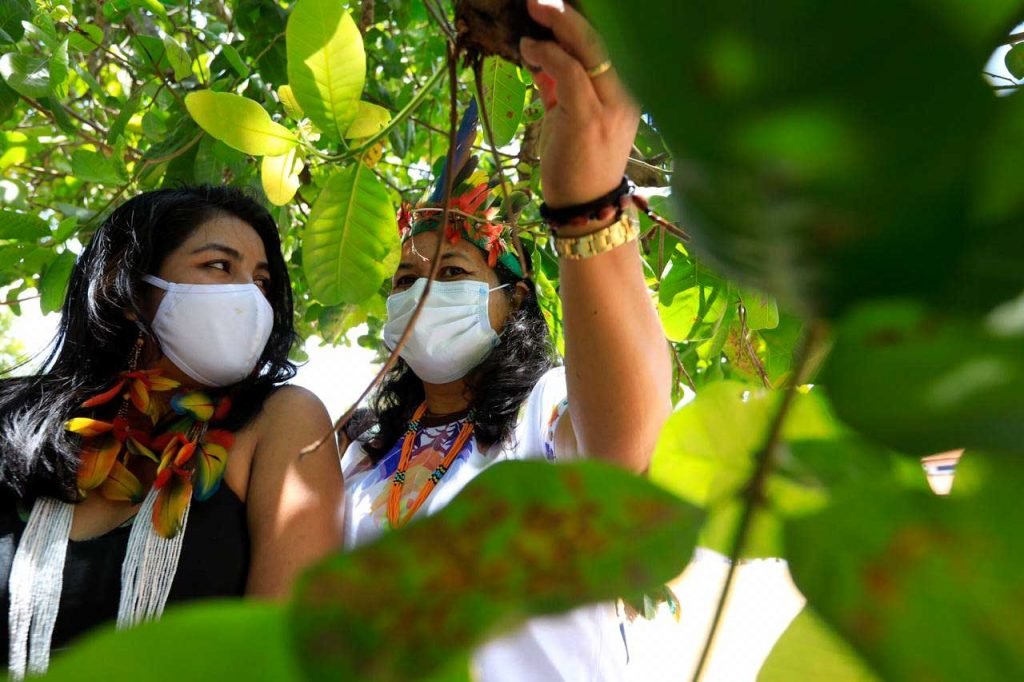 mortes tribos indigenas maranhao covid-19 coronavirus 7