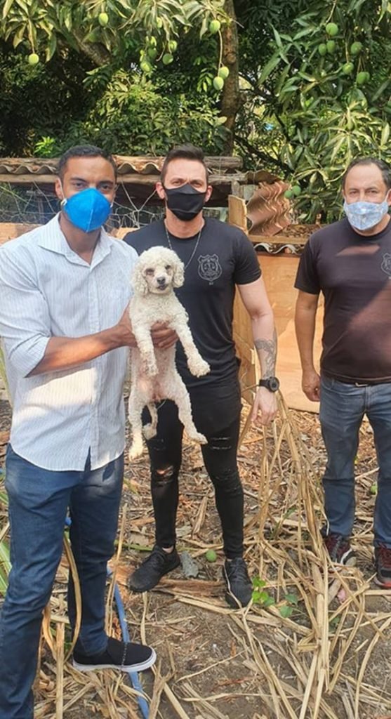 Policiais civis resgataram animal que estava acorrentado e sem água no DF