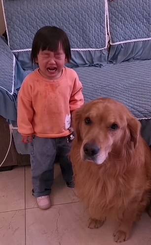 Harry e You You, na China