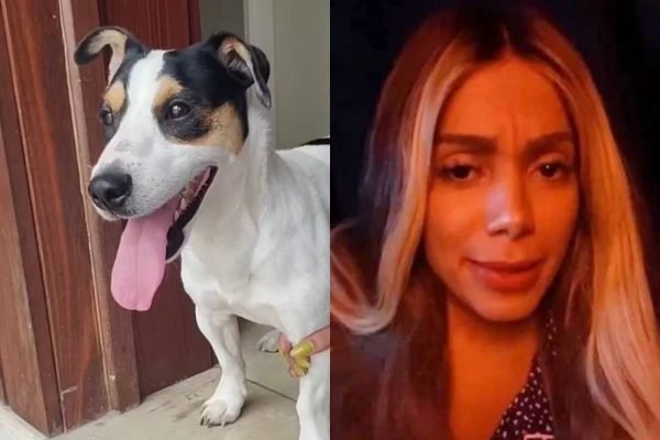 Anitta encontra cachorro pedido