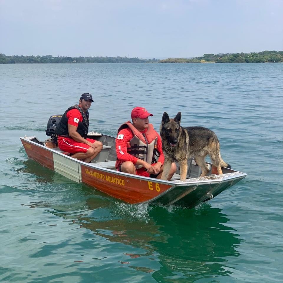 bombeiros em barco com cão farejador