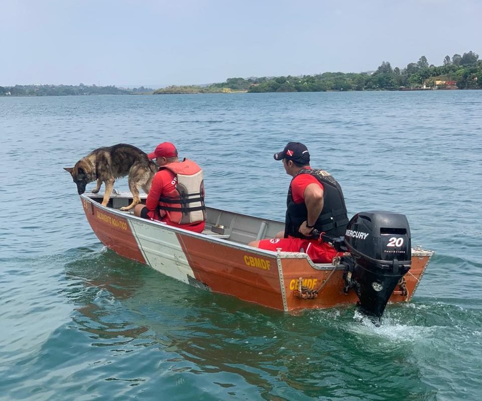 bombeiros em barco com cão farejador